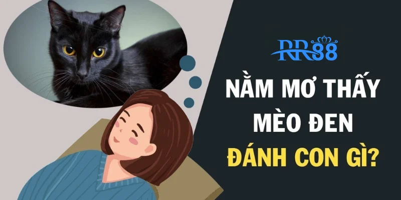 Mơ Thấy Mèo Đen Báo Hiệu Điều Giải Mã Sổ Mơ Cùng RR88 3 Khám phá bí mật thật sự sau những giấc mơ thấy mèo đen