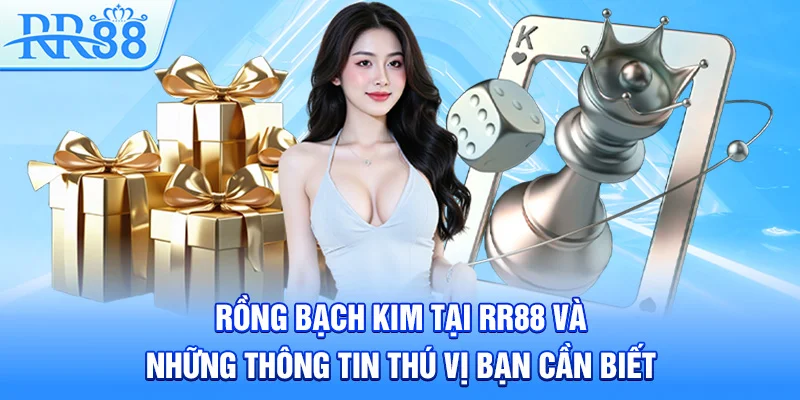 Rồng Bạch Kim Tại RR88 Và Những Thông Tin Thú Vị Bạn Cần Biết