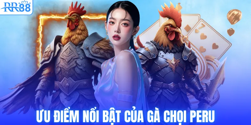 Ưu điểm siêu nổi bật của gà chọi Peru